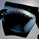 Illustration for article titled Todays Solar Eclipse in 22 Stellar Photos